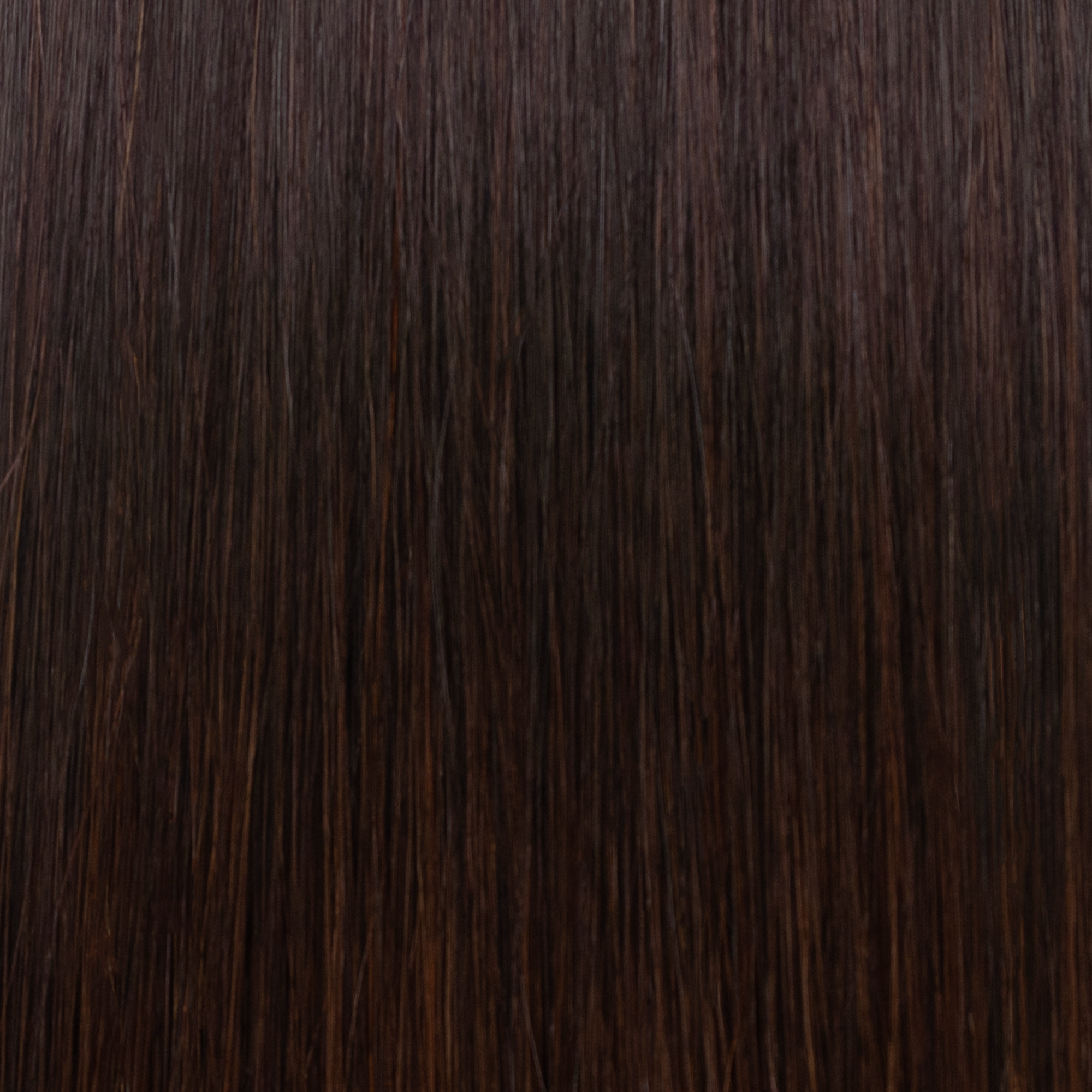 4.B - ROXY - CASTANO